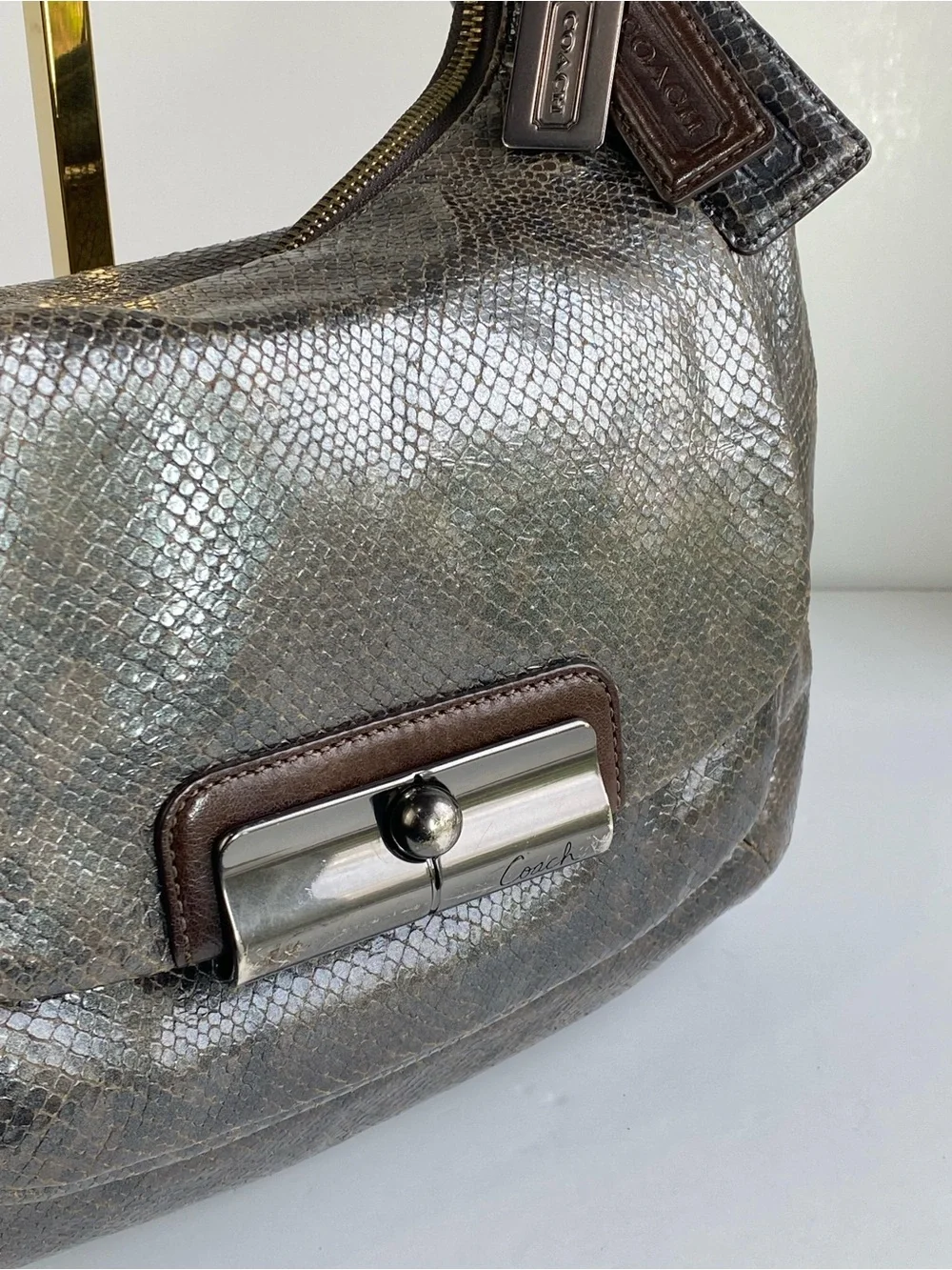 Coach python embossed